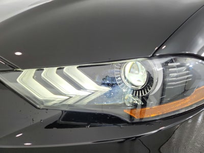 2019 Ford Mustang Bullitt