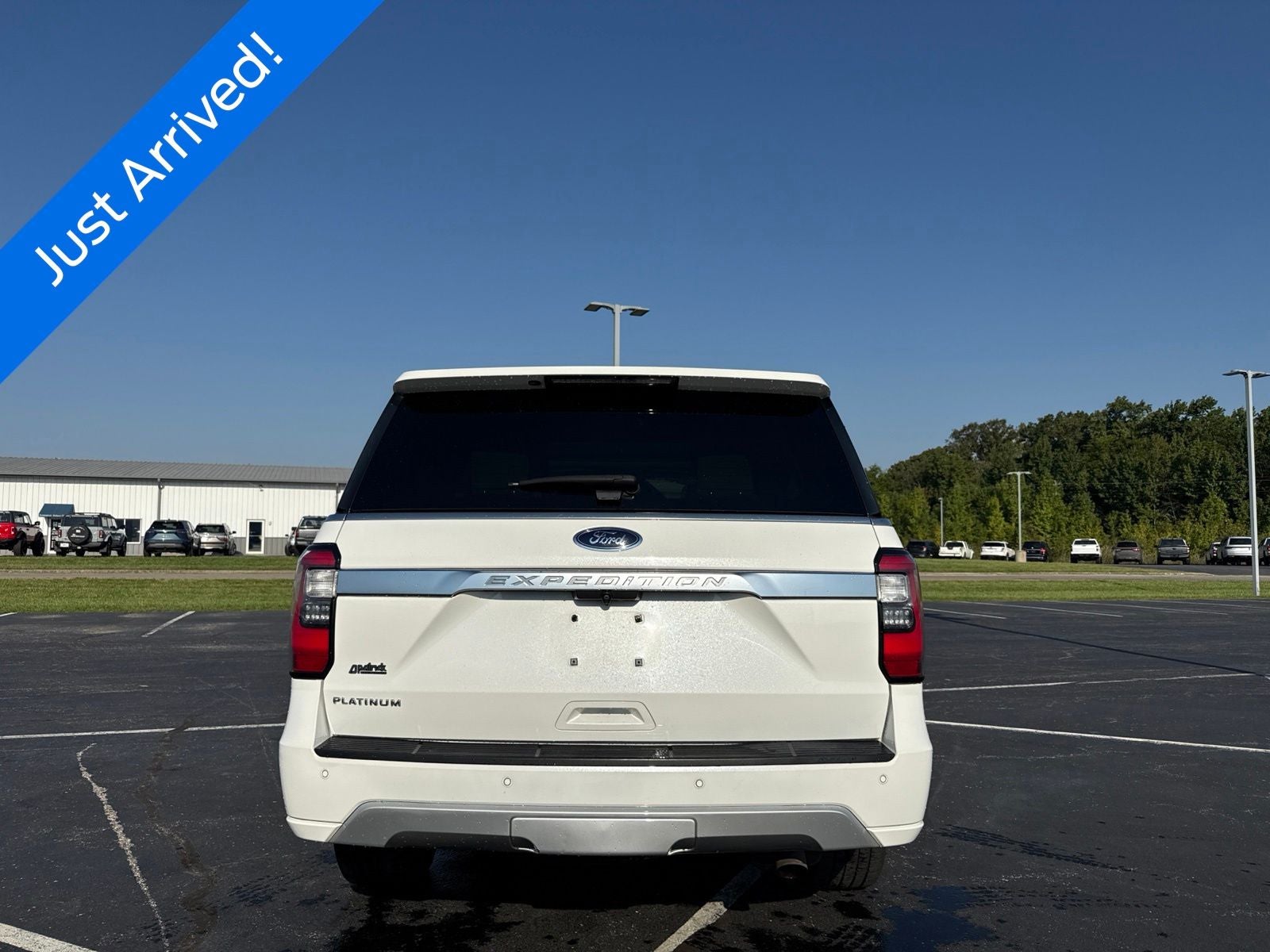 2020 Ford Expedition Platinum