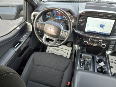 2023 Ford F-150 XLT 4WD SuperCrew 5.5' Box